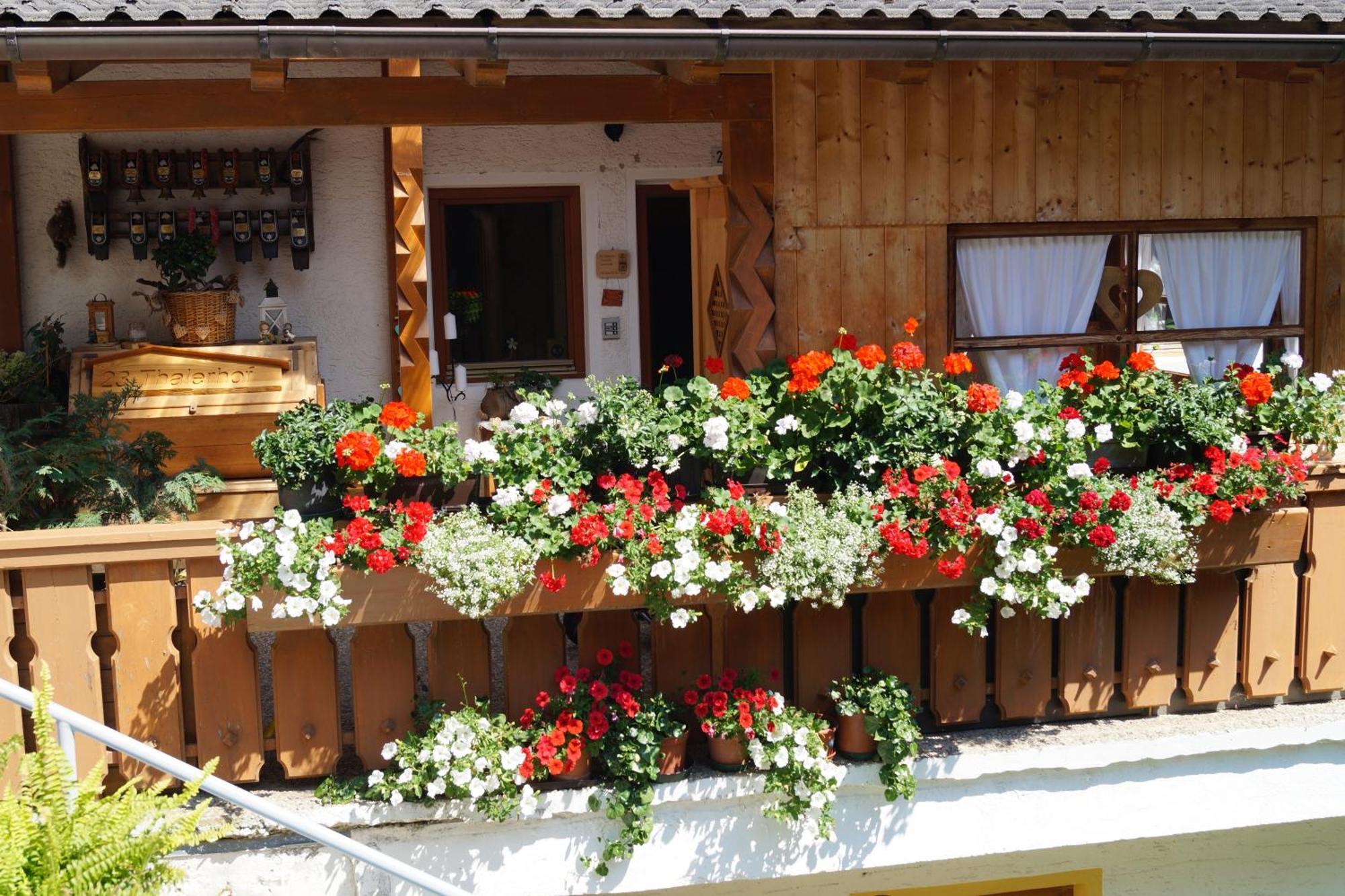 Thalerhof Apartment San Lorenzo di Sebato Exterior foto